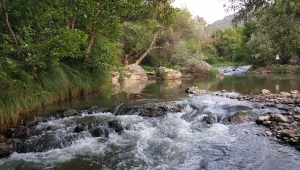 Melet Irmağının Rehberliğinde, Topçam Barajına Yolculuk 