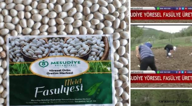 MESUDİYE MARKALI YENİ BİR ÜRÜN DAHA!