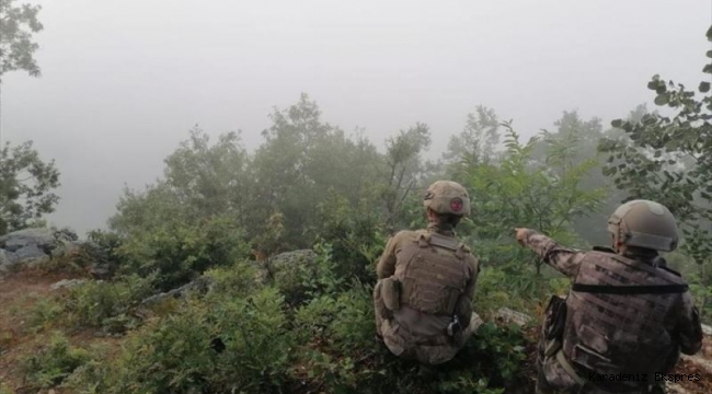 MSB açıkladı! PKK'ya ait yaşam malzemeleri ve mühimmat bulundu