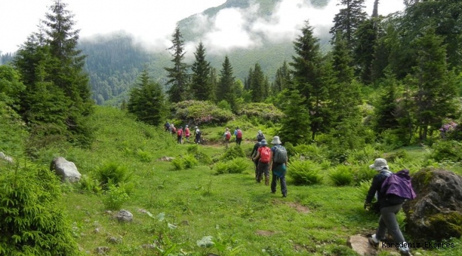 Ayrı vadilerin aynı hikâyesi: Macahel