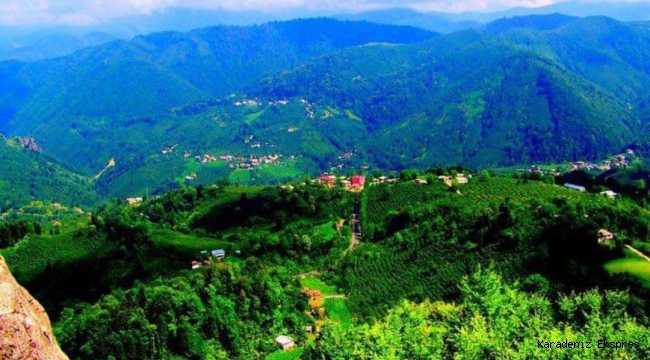 Gölköy Şıhmanlı Şeyh İmam ve Köyün Manevi tarihi..