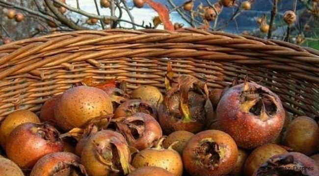 Karadeniz'de sonbaharın son meyvesi olarak bilinmektedir. Yöreden yöreye farklı isimleri vardır