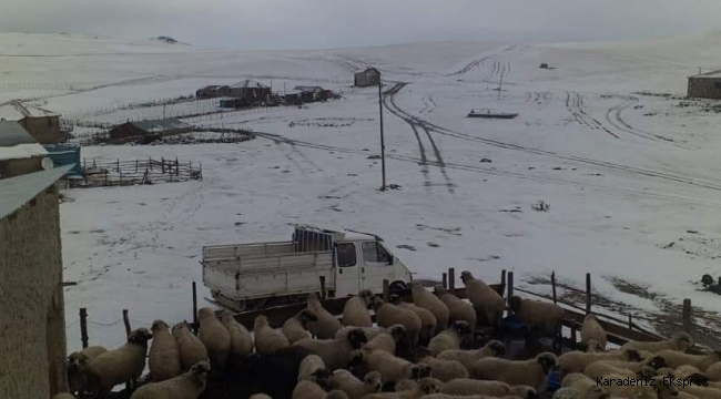 ORDU YAYLALARINA MEVSİMİN İLK KARI YAĞDI.. YAYLA DÖNÜŞLERİ HIZ KAZANIYOR 