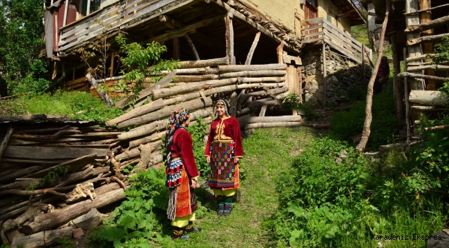 REŞADİYE DOĞASINDAN HARİKA FOTOĞRAFLAR