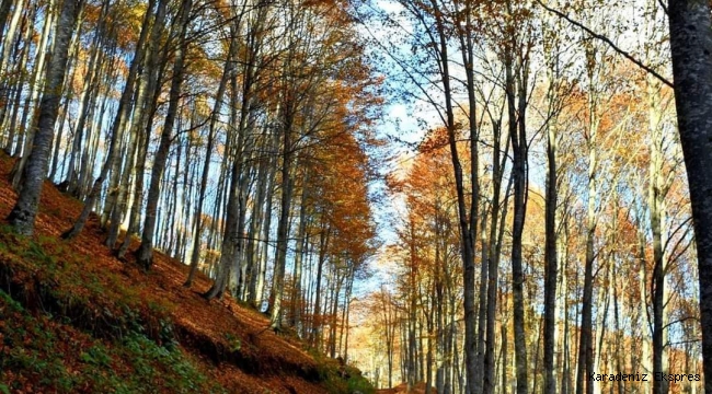 Yokluğunuzdan korkacak güzel insanlar biriktirin