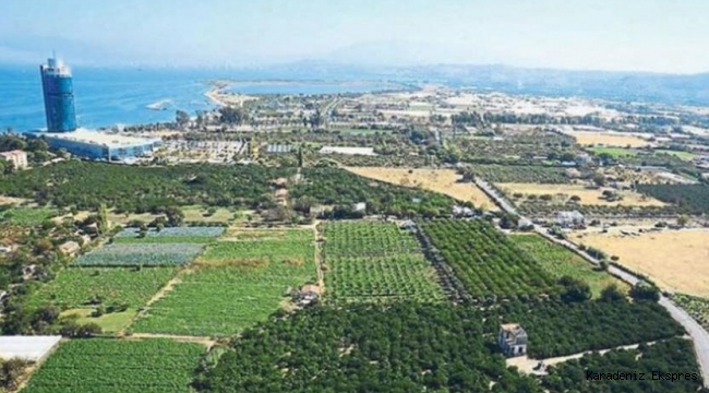 İzmir'de tarım alanı imara açılmak isteniyor