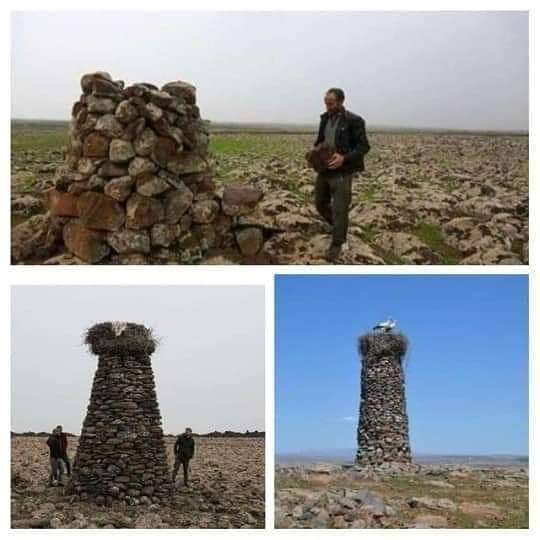 Köylülerin 'Değişik biri' dediği Diyarbakırlı çoban, her yere taştan kuleler yapıyor
