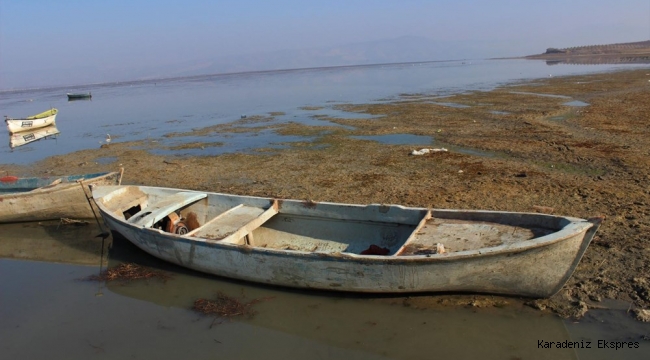 'Kuş cenneti' Marmara Gölü'nde derinlik 40 santimetreye düştü