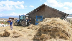 Mesudiye ilçemizde 2 bin 500 kilogram siyez buğdayı toprakla buluştu