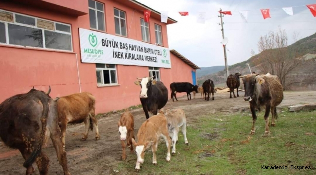 ORDU’DA HAYVANCILIK ARTIK DAHA KOLAY