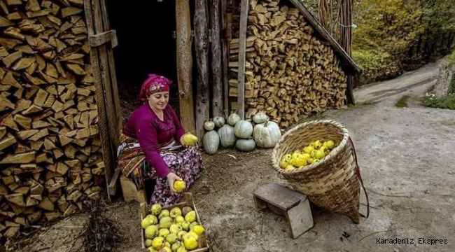 Anne komşuyu çağırdı, Oğullarına aynı bu mektubu yazdırdı…!