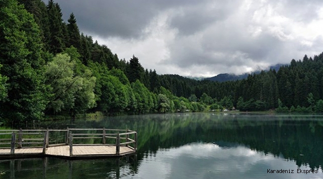 Artvin’in yeşilini ve mavisini madencilere satmışlar iddiası