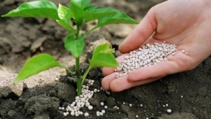 Tarım Bakanlığı gübre firmaları ile toplantı yaptı! Depodaki ürünler gündeme gelmedi!