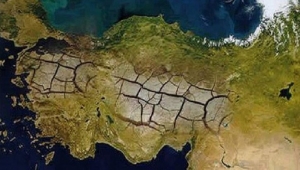 Uzmanlara Göre İstanbul'un Biyolojik Ritmi Bozuldu; İklimimiz de Tropikal Oldu