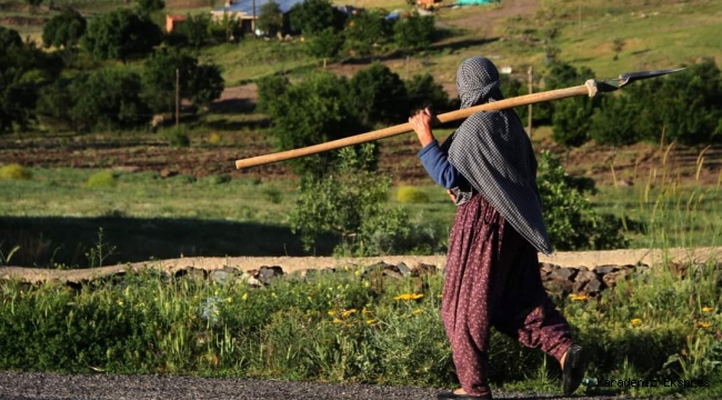 YOLUN SONU GÖRÜNÜYOR TÜRKÜSÜNÜN HİKAYESİ