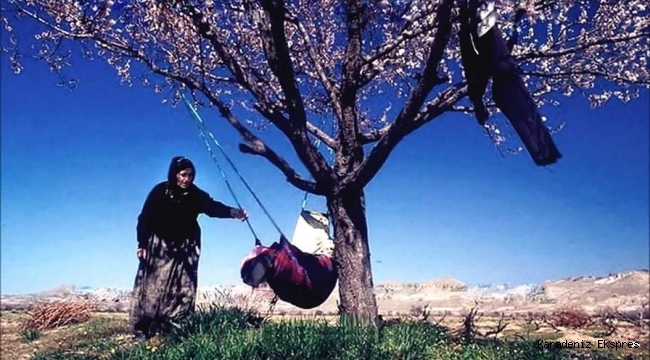 Bebeğin Beşiği Çamdan Türküsünün Hikayesi..