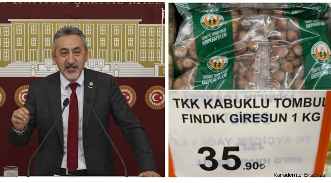 FINDIK 36 TL