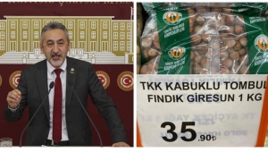 FINDIK 36 TL