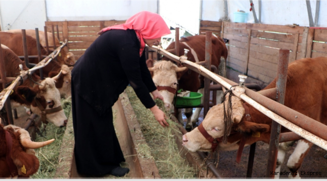 Genç Çiftçi Projesi İle Üretime Başladı, Siparişlere Yetişemiyor