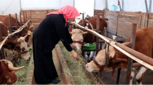 Genç Çiftçi Projesi İle Üretime Başladı, Siparişlere Yetişemiyor