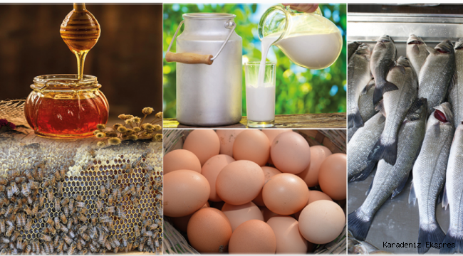 Hayvansal Gıdalarda Antibiyotik, Pestisit, Ağır Metal Gibi Kalıntılar Titizlikle Takip Ediliyor