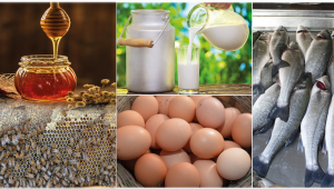 Hayvansal Gıdalarda Antibiyotik, Pestisit, Ağır Metal Gibi Kalıntılar Titizlikle Takip Ediliyor