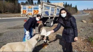 Ordu Barosu Hayvan Hakları Konusunda Güzel Çalışmalar Yapıyor