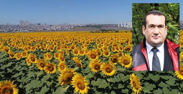 Tarım Bakanlığı Ödüllü Bilimsel Çalışmaya Duyarsız Kaldı! Her Yıl 142 Milyon Dolar Zarar…