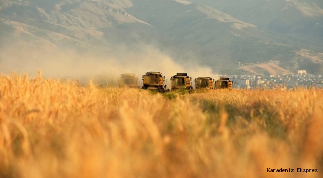 Tarım Kredi Bu Yıl 3,7 Milyar Liralık Ürün Alacak