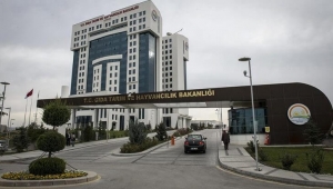 Tarım Ve Orman Bakanlığında Reformun Ayak Sesleri