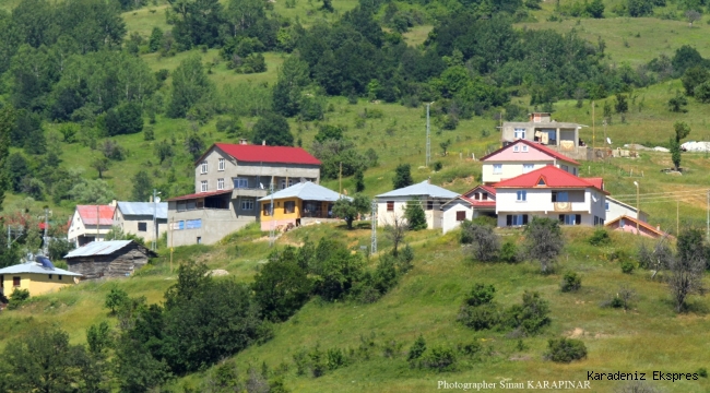 Tarımda Hollanda kadar olamadık