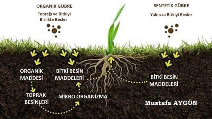 TOPRAKTA ORGANİK MADDE EKSİKLİĞİ