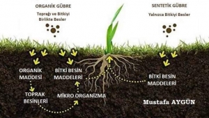 TOPRAKTA ORGANİK MADDE EKSİKLİĞİ