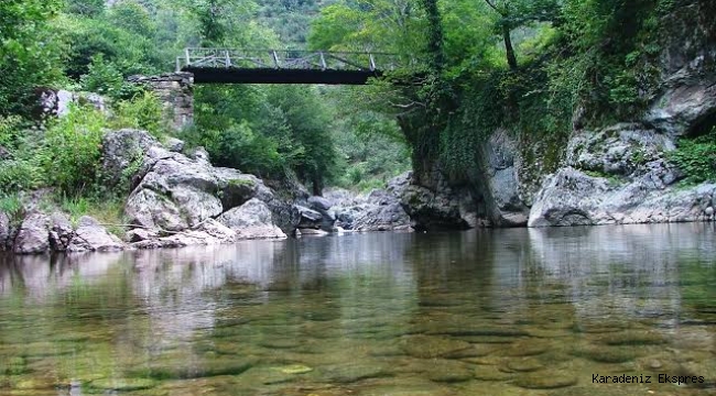 Turnasuyu Irmağı’nda iki kez iptal edilen HES için yeni ÇED süreci başlatıldı