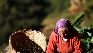 Umudu öldürüp , nefreti toprağa dikmek isteyenlerden uzak dur
