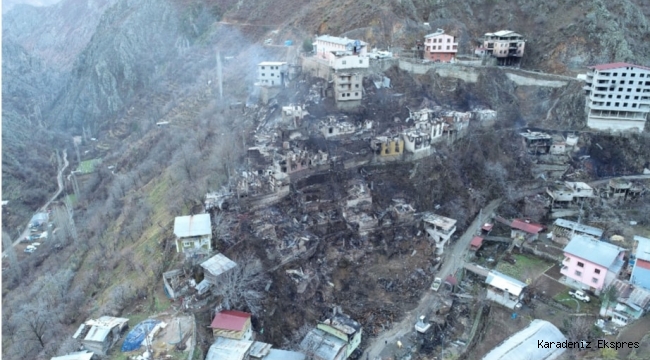 Artvin'de köydeki yangın felaketinin boyutu, gün ağarınca ortaya çıktı