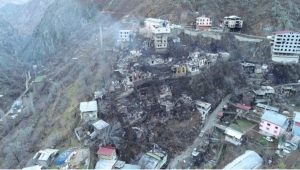 Artvin'de köydeki yangın felaketinin boyutu, gün ağarınca ortaya çıktı