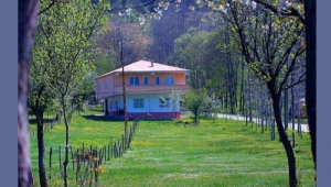 BİR ANADOLU HİKAYESİ...