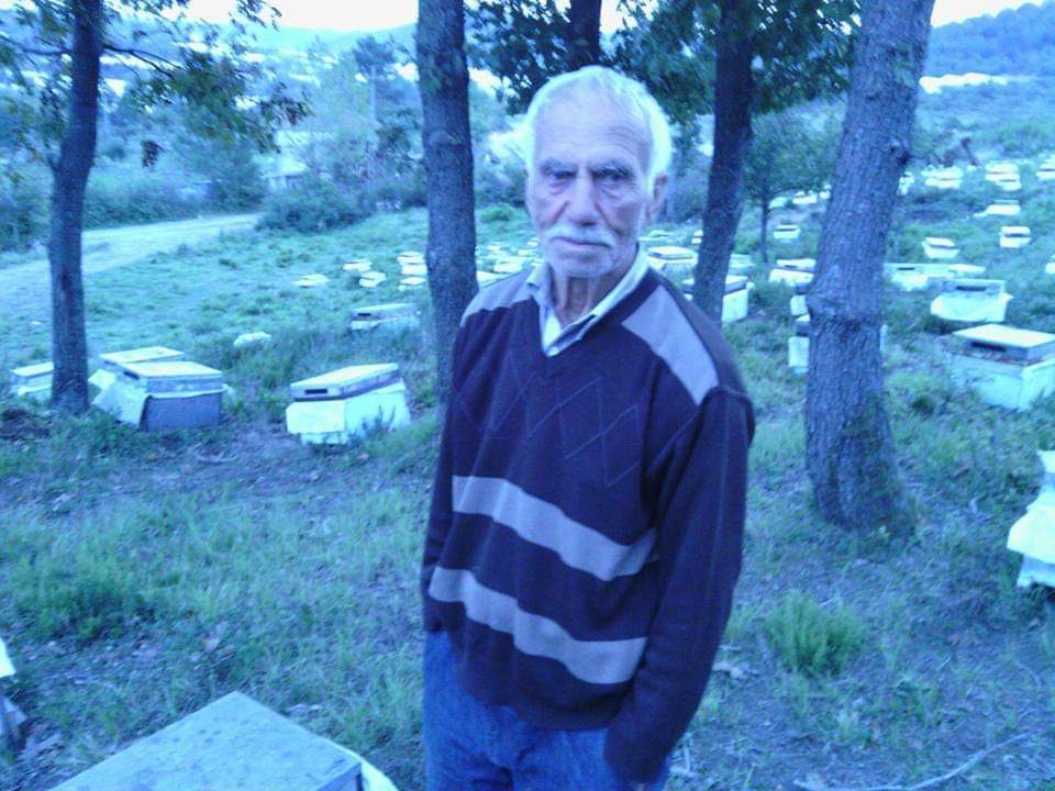 BİR ARİCİNİN HİKAYESİ