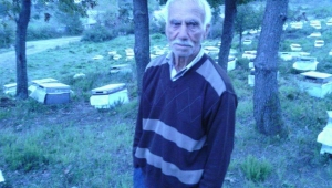 BİR ARİCİNİN HİKAYESİ