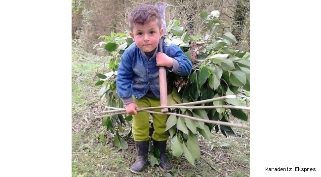 Bu Fotoğraf,hayatın gerçeklerini gözler önüne seriyor