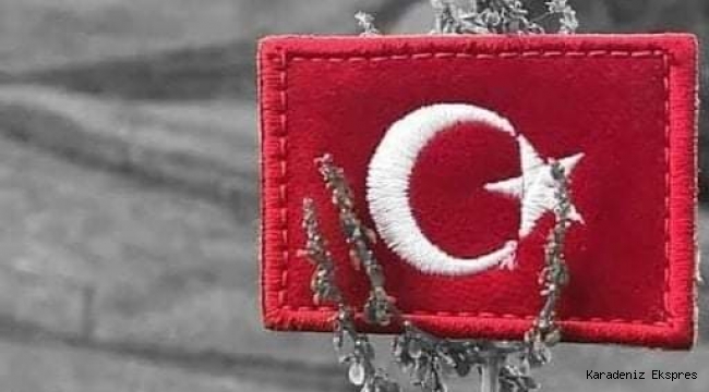 ÇANAKKALE ŞEHİTLERİNE