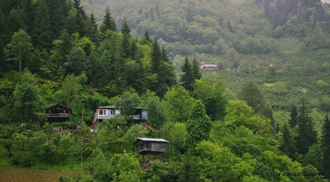 Diyorum ki .. Toplasak tası tarağı..