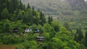 Diyorum ki .. Toplasak tası tarağı..