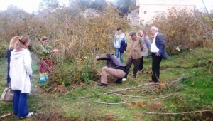 Fındık Yetiştirme Tekniği