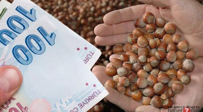 Fındıkta gübre desteği!