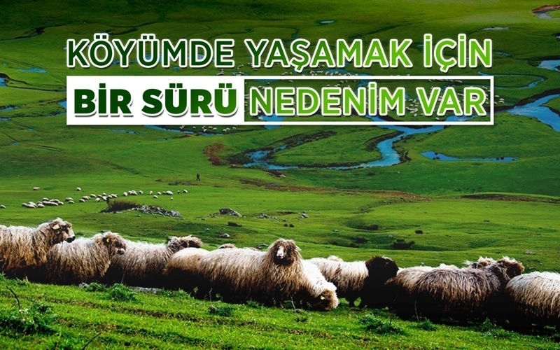 Gümüşhane'de Köyümde Yaşamak İçin Bir Sürü Nedenim Var projesine Başvurular Devam Ediyor