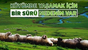 Gümüşhane'de Köyümde Yaşamak İçin Bir Sürü Nedenim Var projesine Başvurular Devam Ediyor