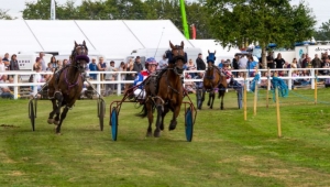 İskoçya'da Covid: Turriff Show, bu sene iptal edildi, seneye yapılacak..