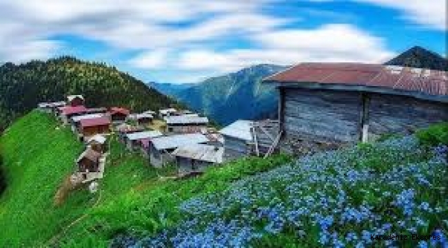 Kaçkar Yaylası ve Kaçkar Dağları Turizm Merkezi